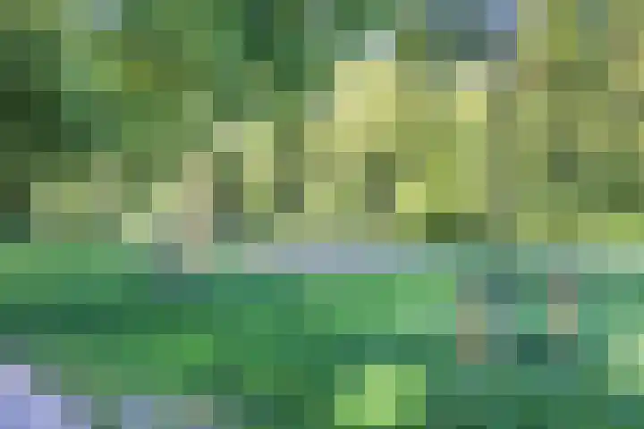 Jachtenlaan 55 Zaandam thumbnail 31