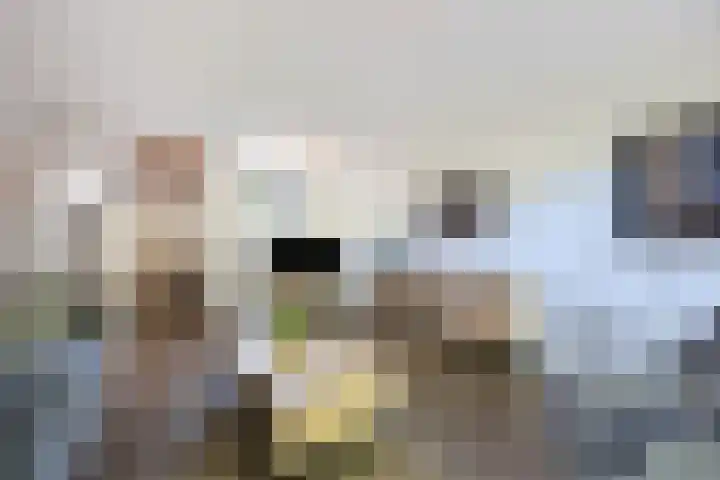 Jachtenlaan 55 Zaandam thumbnail 5