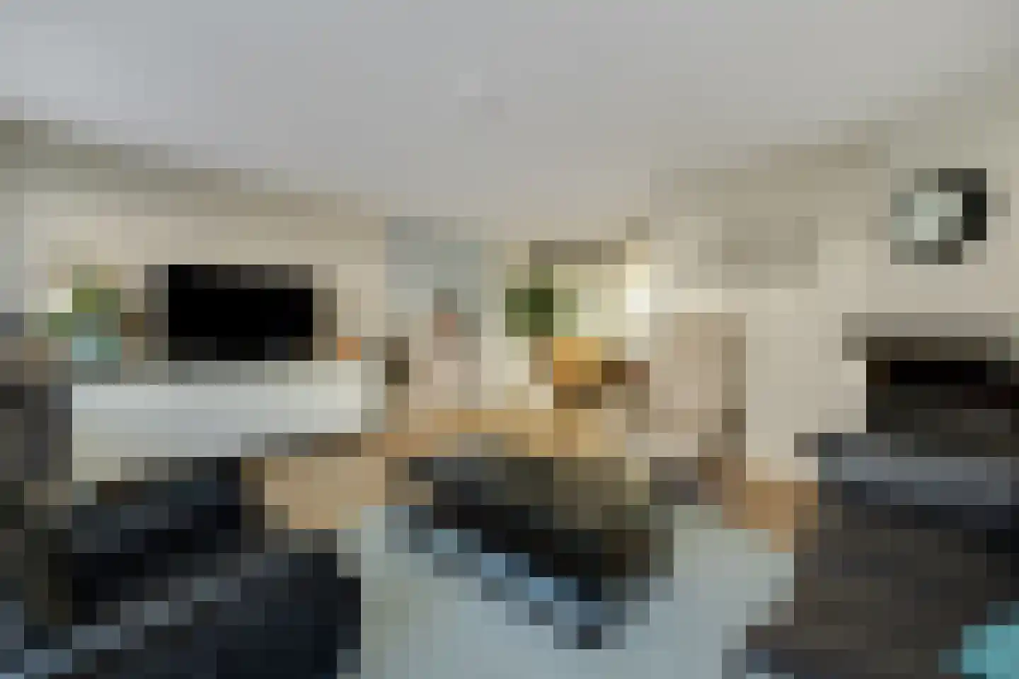 Jachterf 11 Vught thumbnail 15