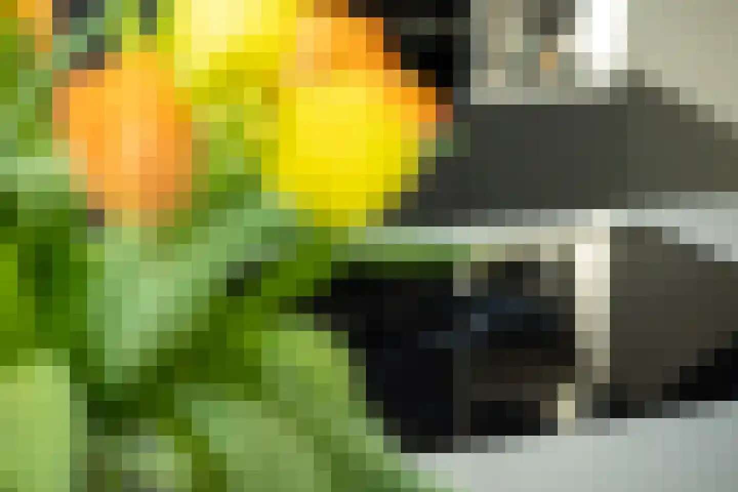 Jachterf 11 Vught thumbnail 31