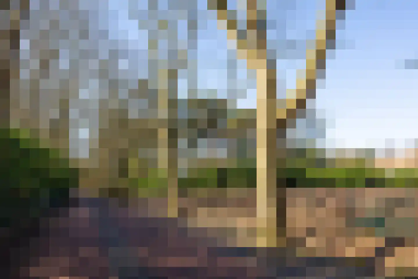 Jachterf 11 Vught thumbnail 57