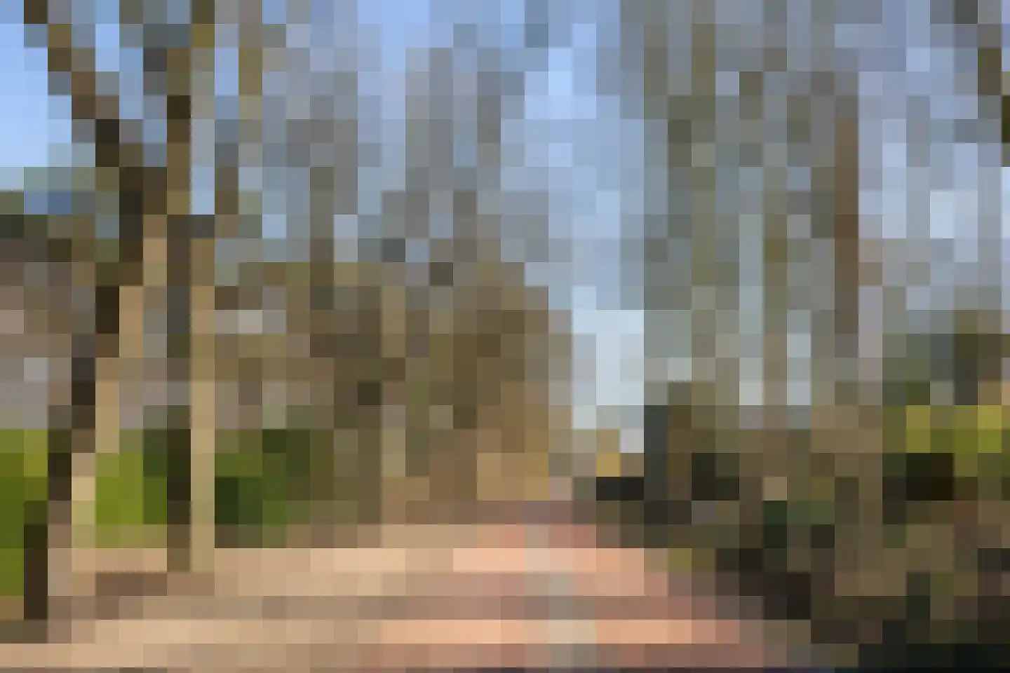Jachterf 11 Vught thumbnail 58
