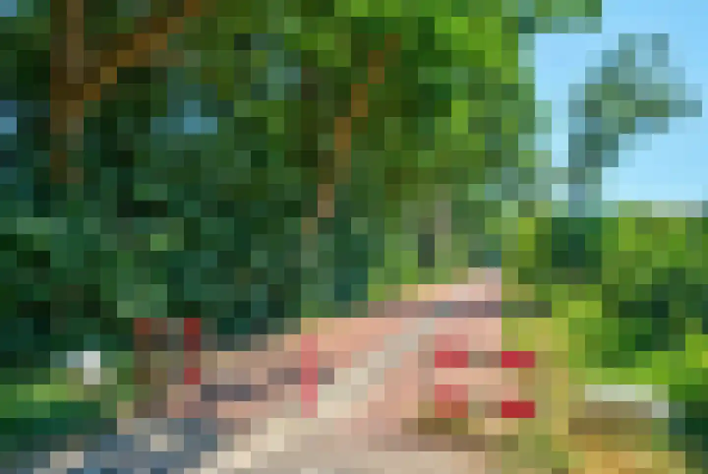 Jachterf 14 Vught thumbnail 51
