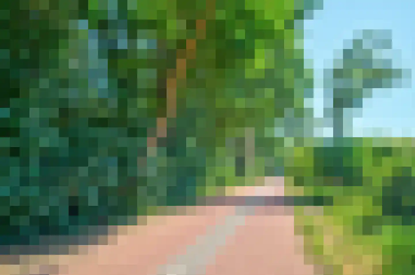 Jachterf 14 Vught thumbnail 52