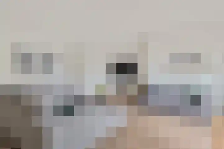 Jachtfjild 2 Tytsjerk thumbnail 14
