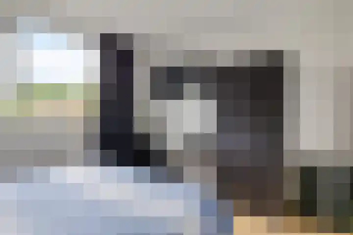 Jachtfjild 2 Tytsjerk thumbnail 22
