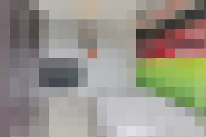 Jachtfjild 2 Tytsjerk thumbnail 24