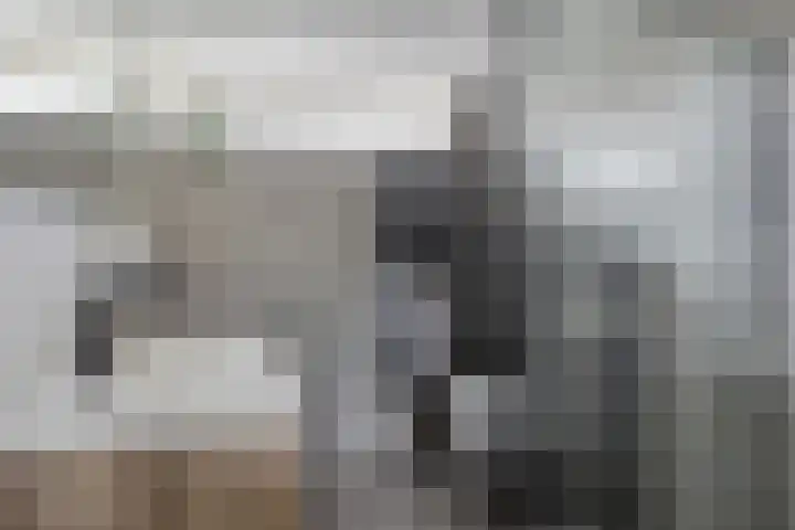 Jachtfjild 2 Tytsjerk thumbnail 25