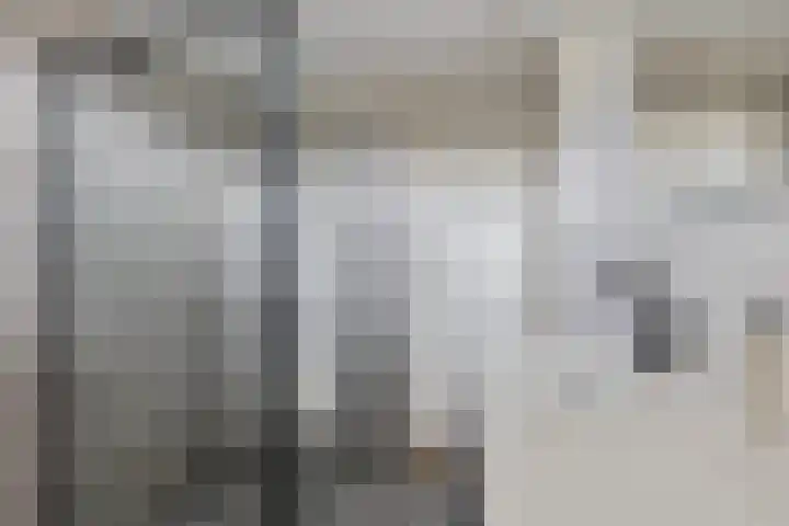 Jachtfjild 2 Tytsjerk thumbnail 26