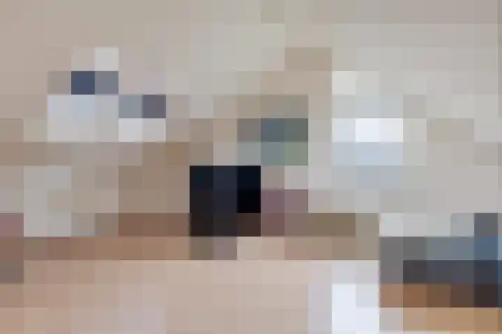 Jachtfjild 2 Tytsjerk thumbnail 29
