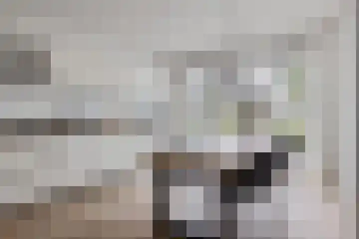 Jachtfjild 2 Tytsjerk foto 3
