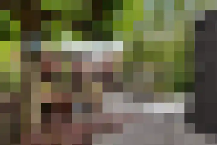 Jachtfjild 2 Tytsjerk thumbnail 32