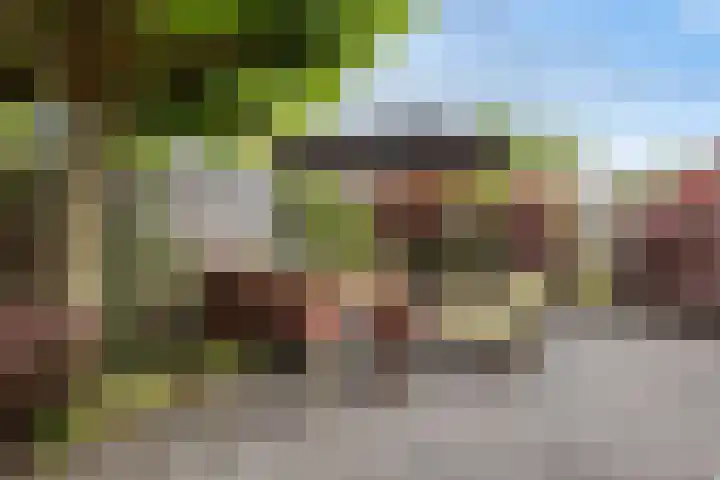 Jachtfjild 2 Tytsjerk thumbnail 33
