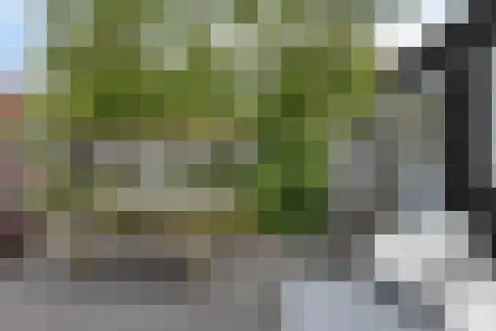 Jachtfjild 2 Tytsjerk thumbnail 34