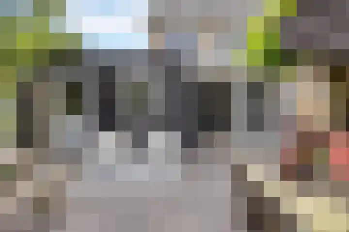 Jachtfjild 2 Tytsjerk thumbnail 35