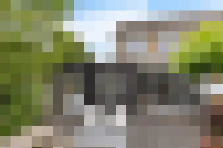 Jachtfjild 2 Tytsjerk thumbnail 36