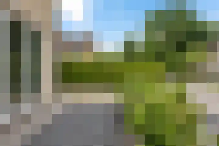 Jachtfjild 2 Tytsjerk thumbnail 38