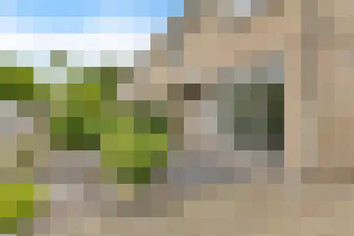 Jachtfjild 2 Tytsjerk thumbnail 39