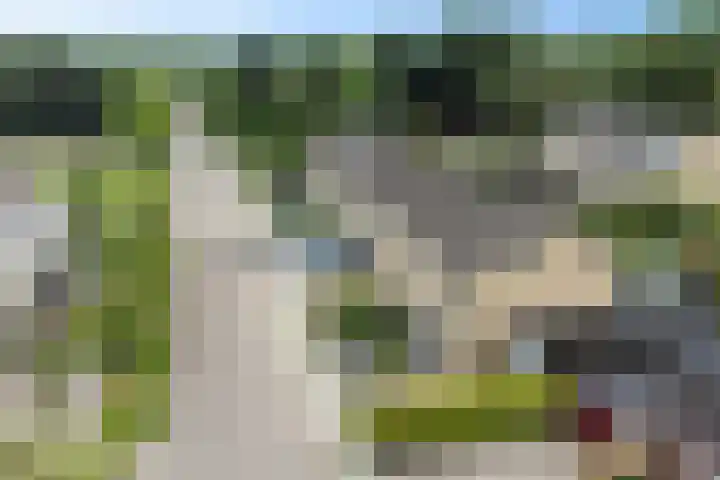 Jachtfjild 2 Tytsjerk thumbnail 44