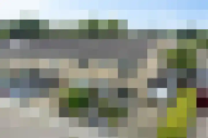 Jachtfjild 2 Tytsjerk thumbnail 45