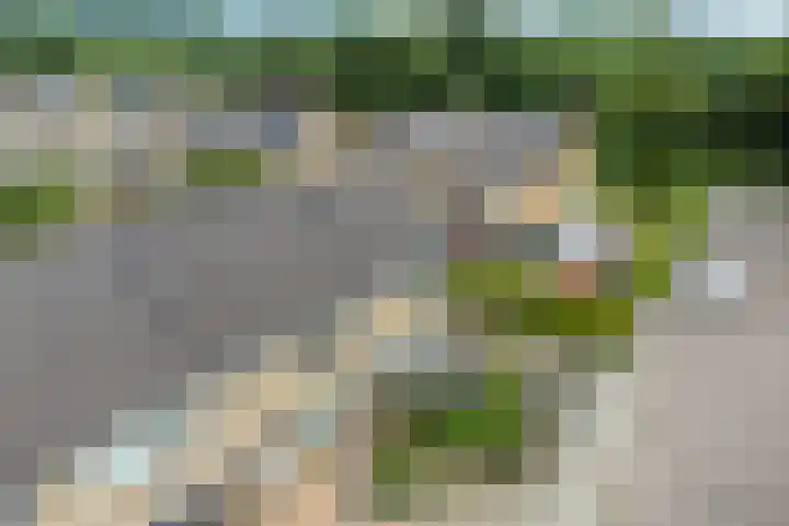 Jachtfjild 2 Tytsjerk thumbnail 46