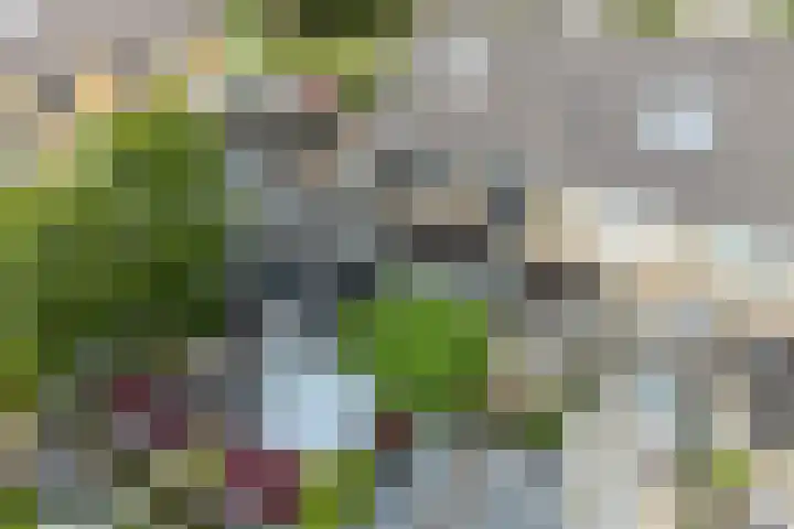Jachtfjild 2 Tytsjerk thumbnail 47