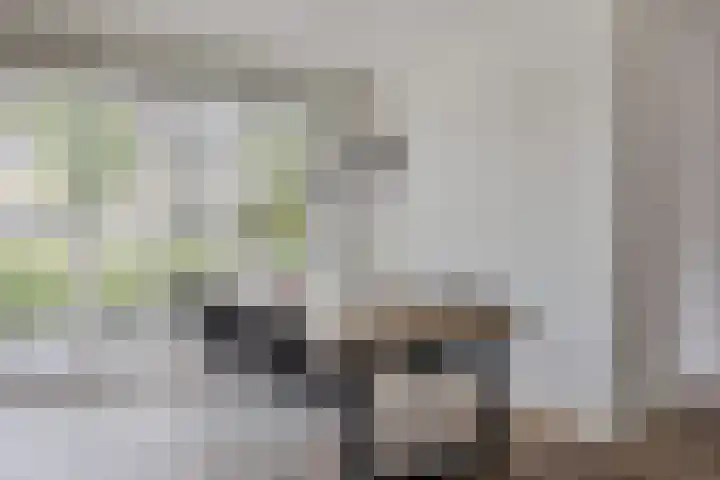 Jachtfjild 2 Tytsjerk thumbnail 7