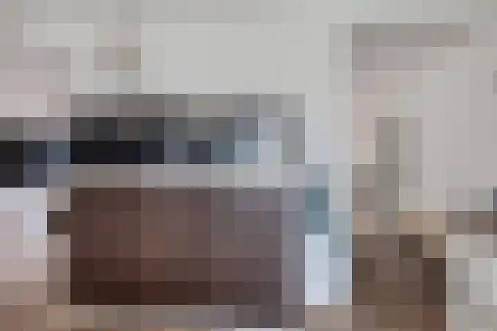 Jachtfjild 2 Tytsjerk thumbnail 9