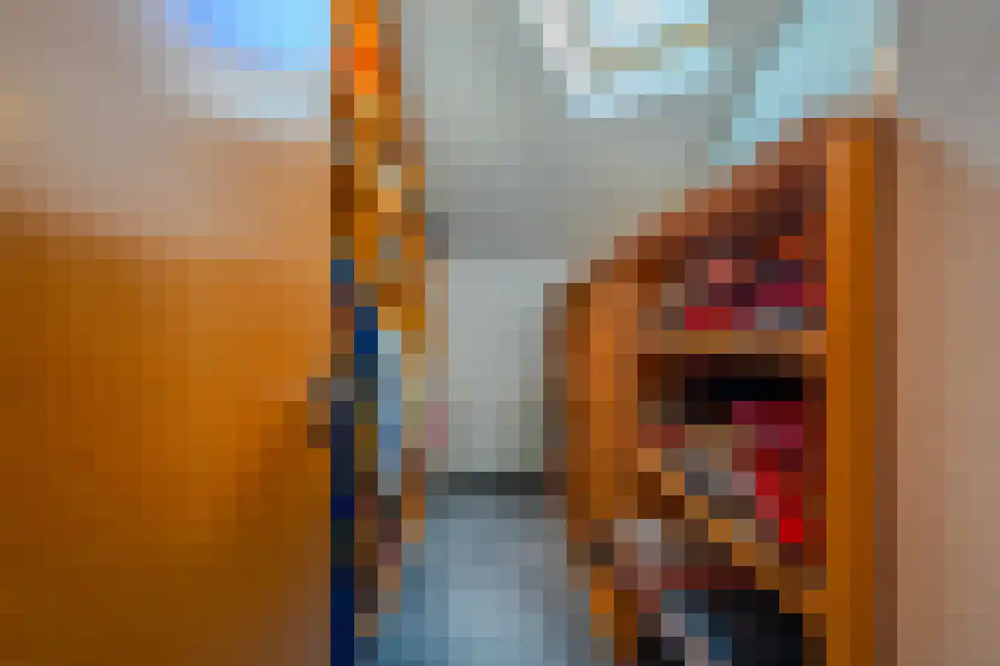 Jachthaven 8 Sloten thumbnail 20