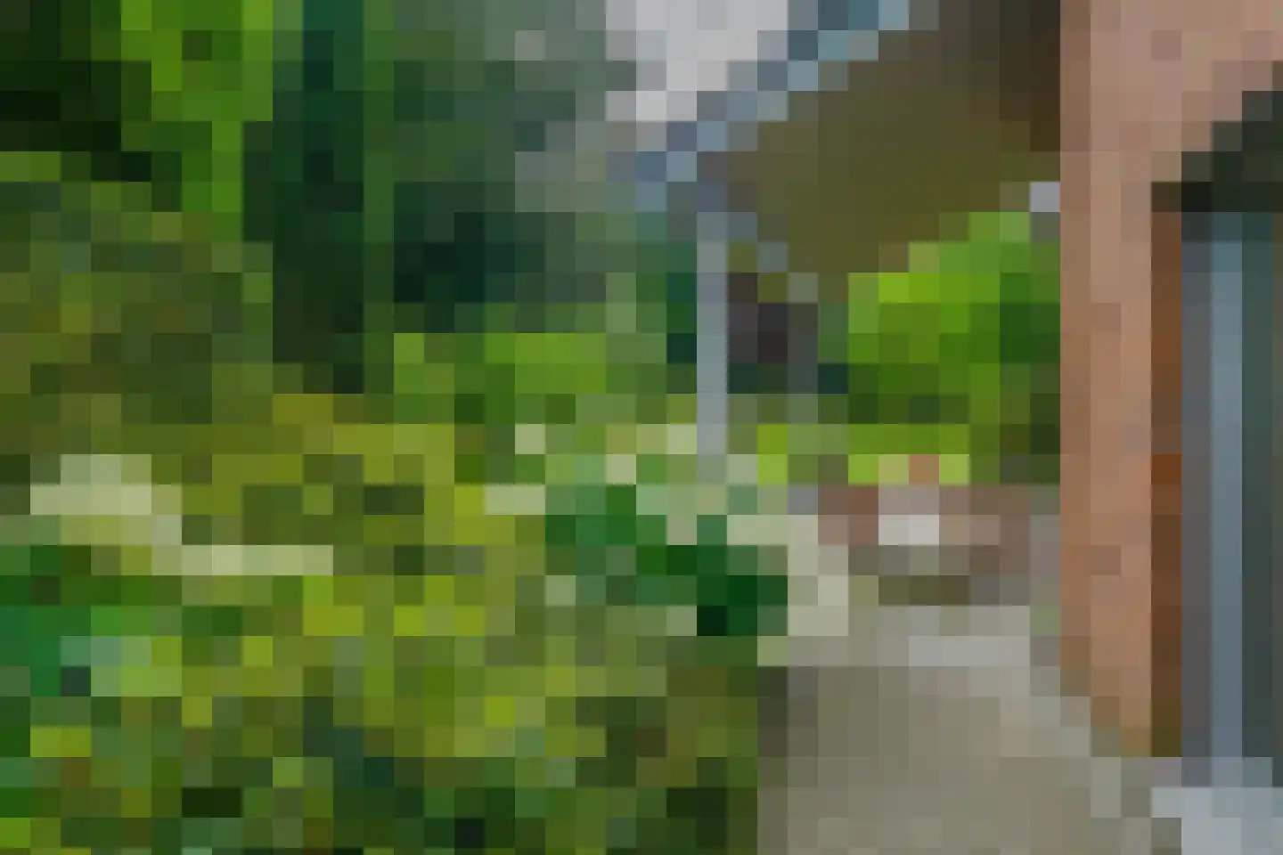 Jachthaven 8 Sloten thumbnail 31
