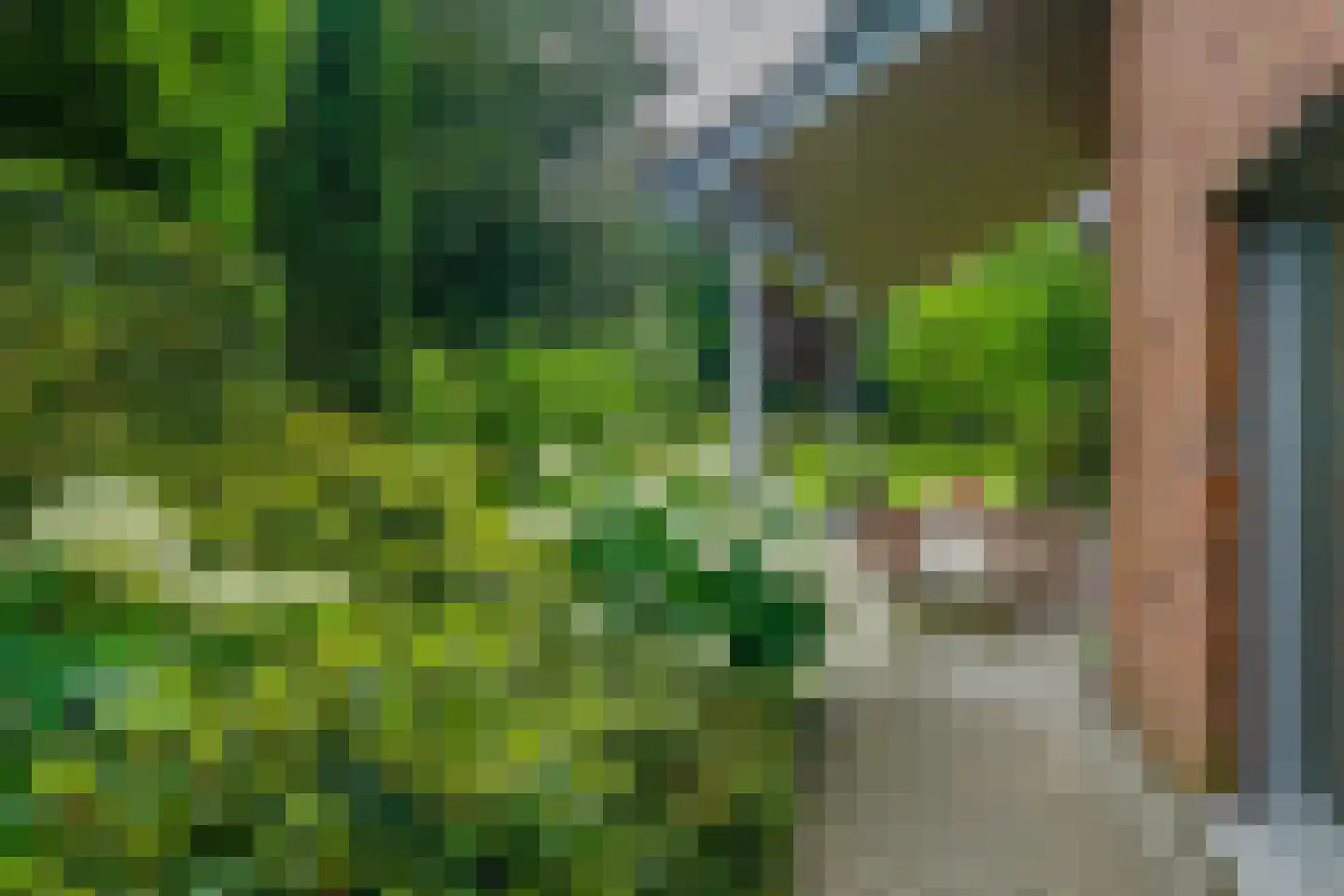 Jachthaven 8 Sloten thumbnail 31
