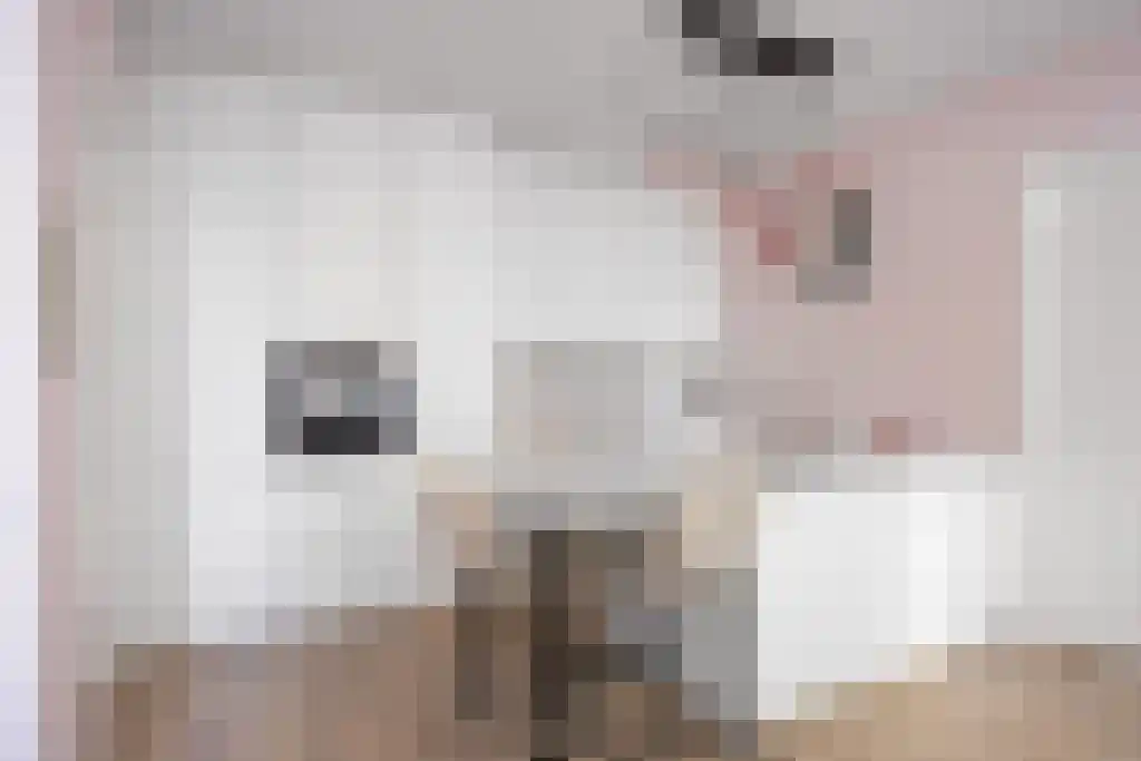 Jachthavenstraat 1 H Sneek thumbnail 10