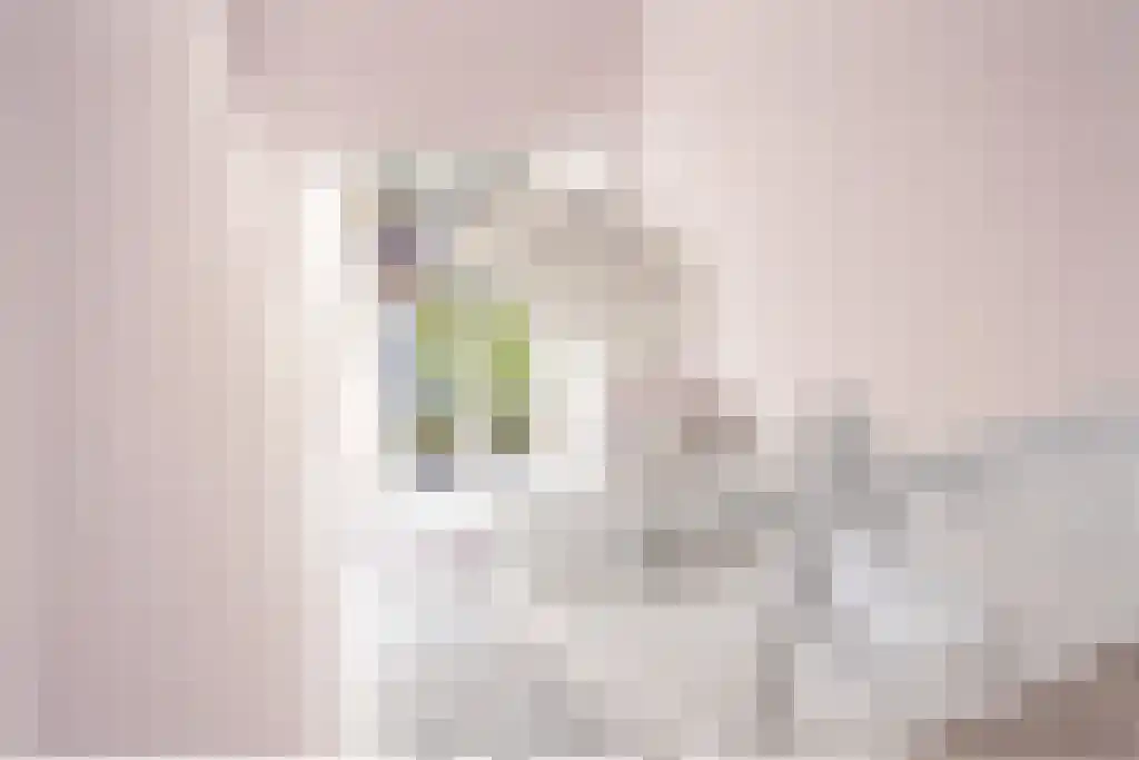 Jachthavenstraat 1 H Sneek thumbnail 20