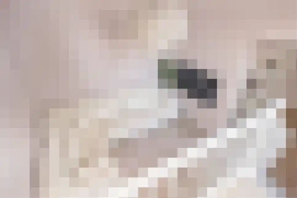 Jachthavenstraat 1 H Sneek thumbnail 28