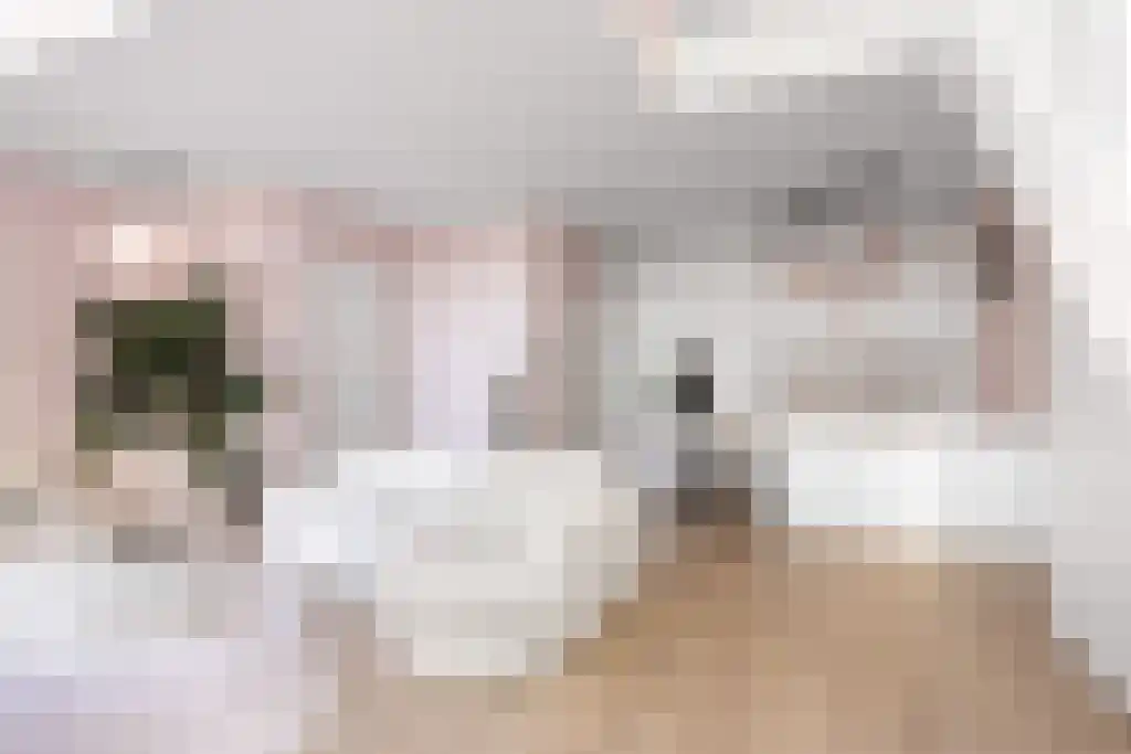 Jachthavenstraat 1 H Sneek thumbnail 8