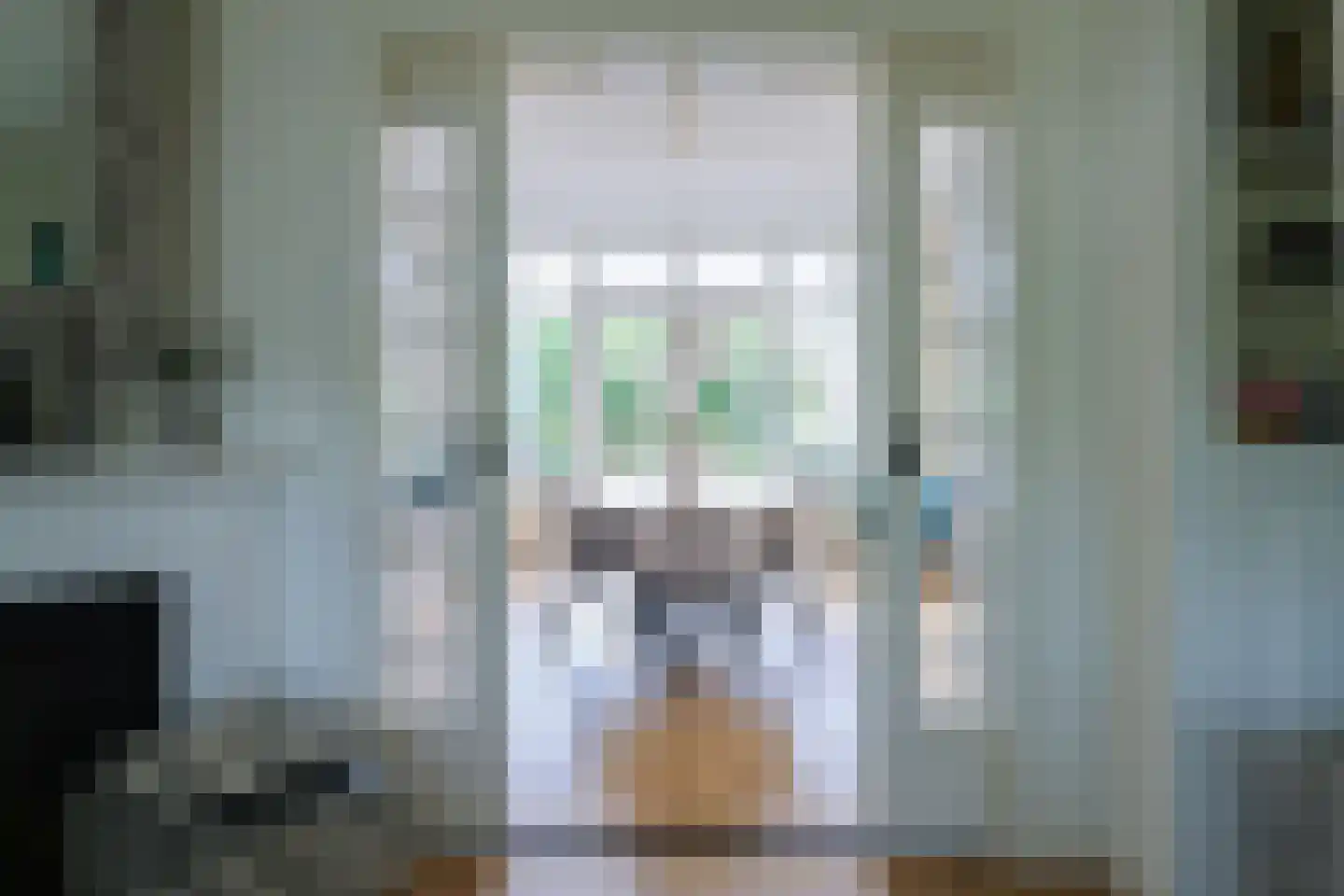 Jachthavenstraat 8 Sneek thumbnail 18
