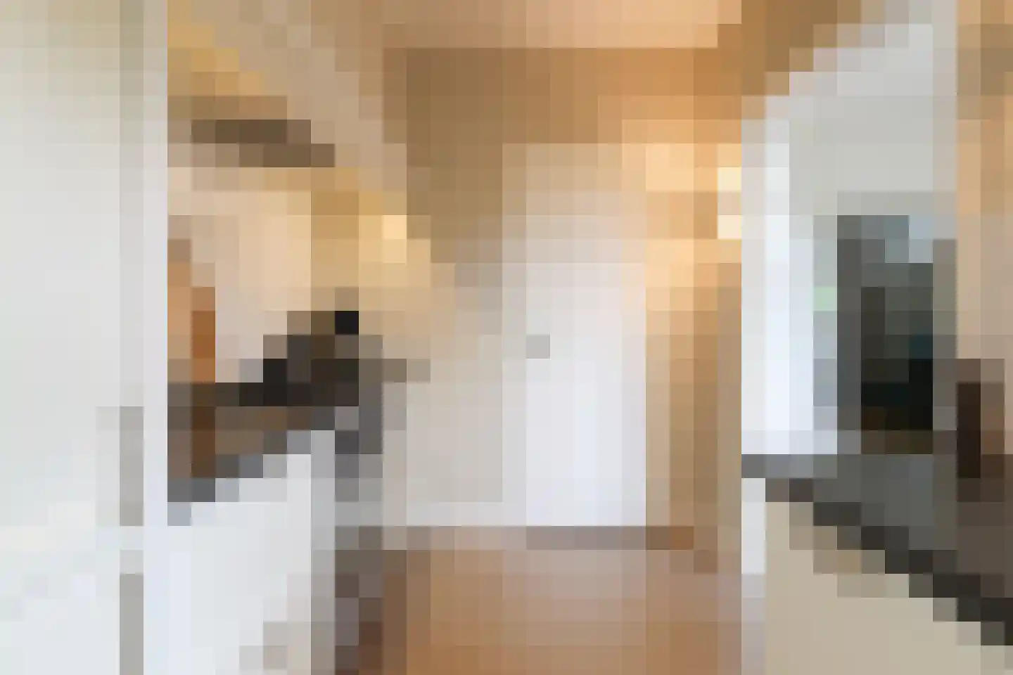 Jachthavenstraat 8 Sneek thumbnail 33