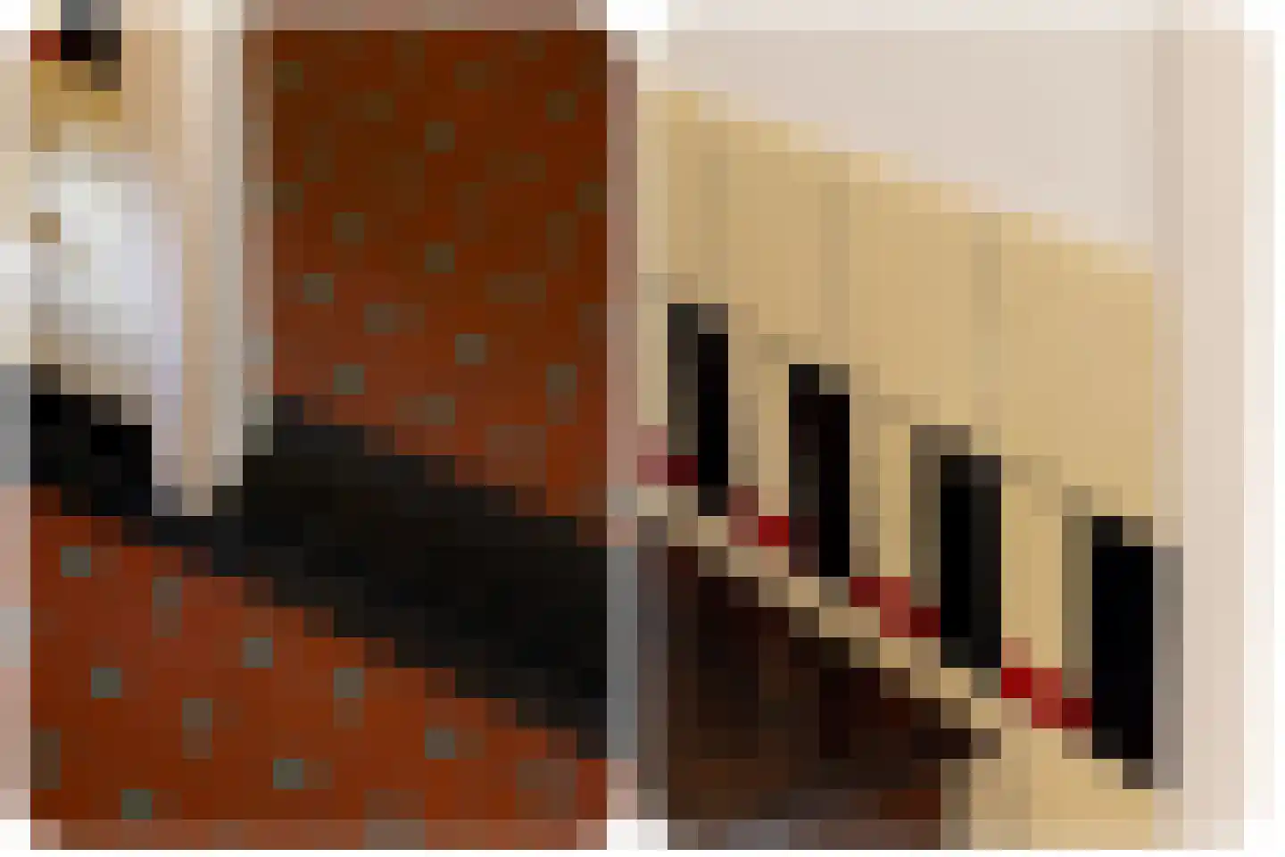 Jachthavenstraat 8 Sneek thumbnail 36