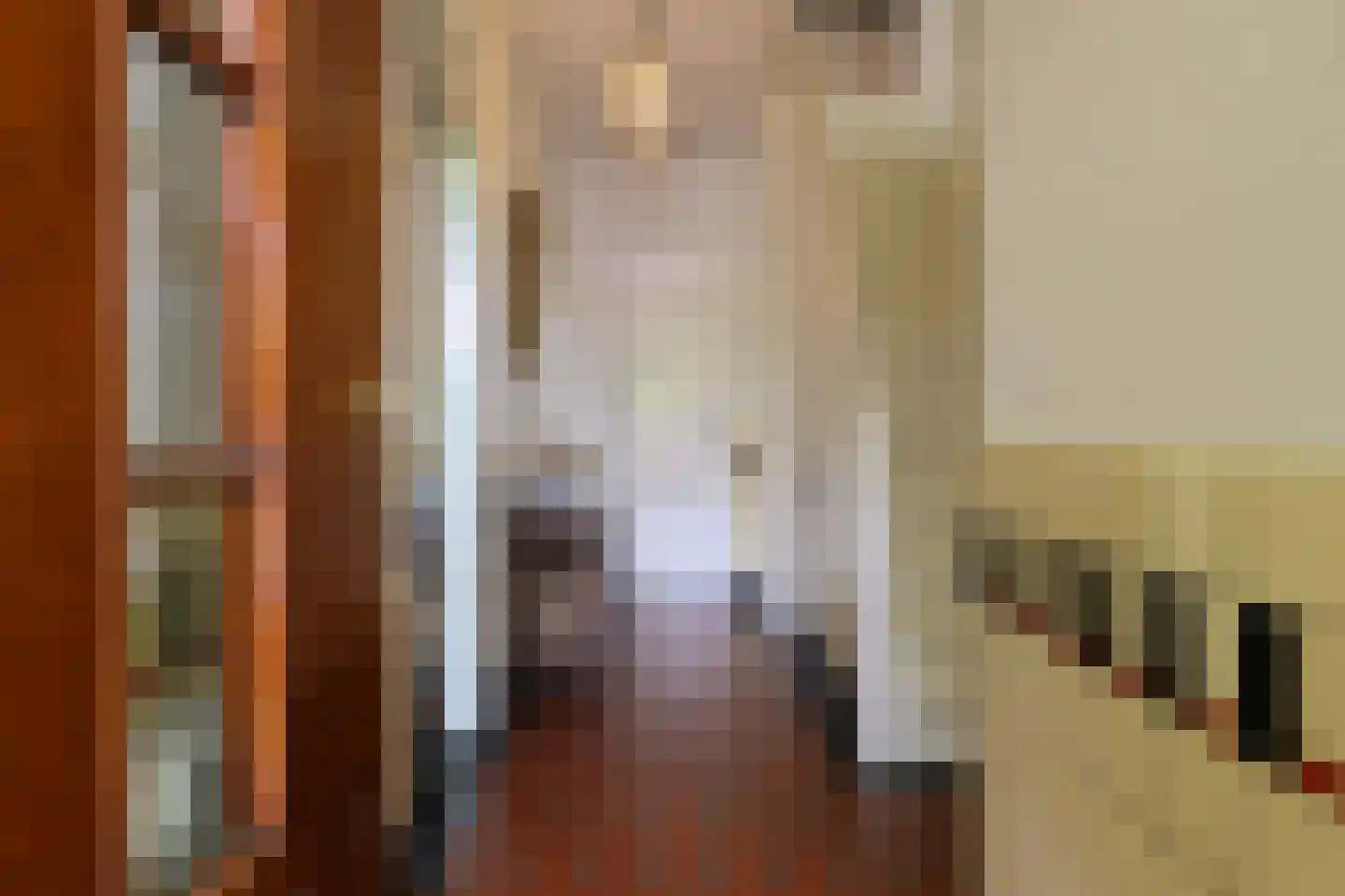 Jachthavenstraat 8 Sneek thumbnail 6