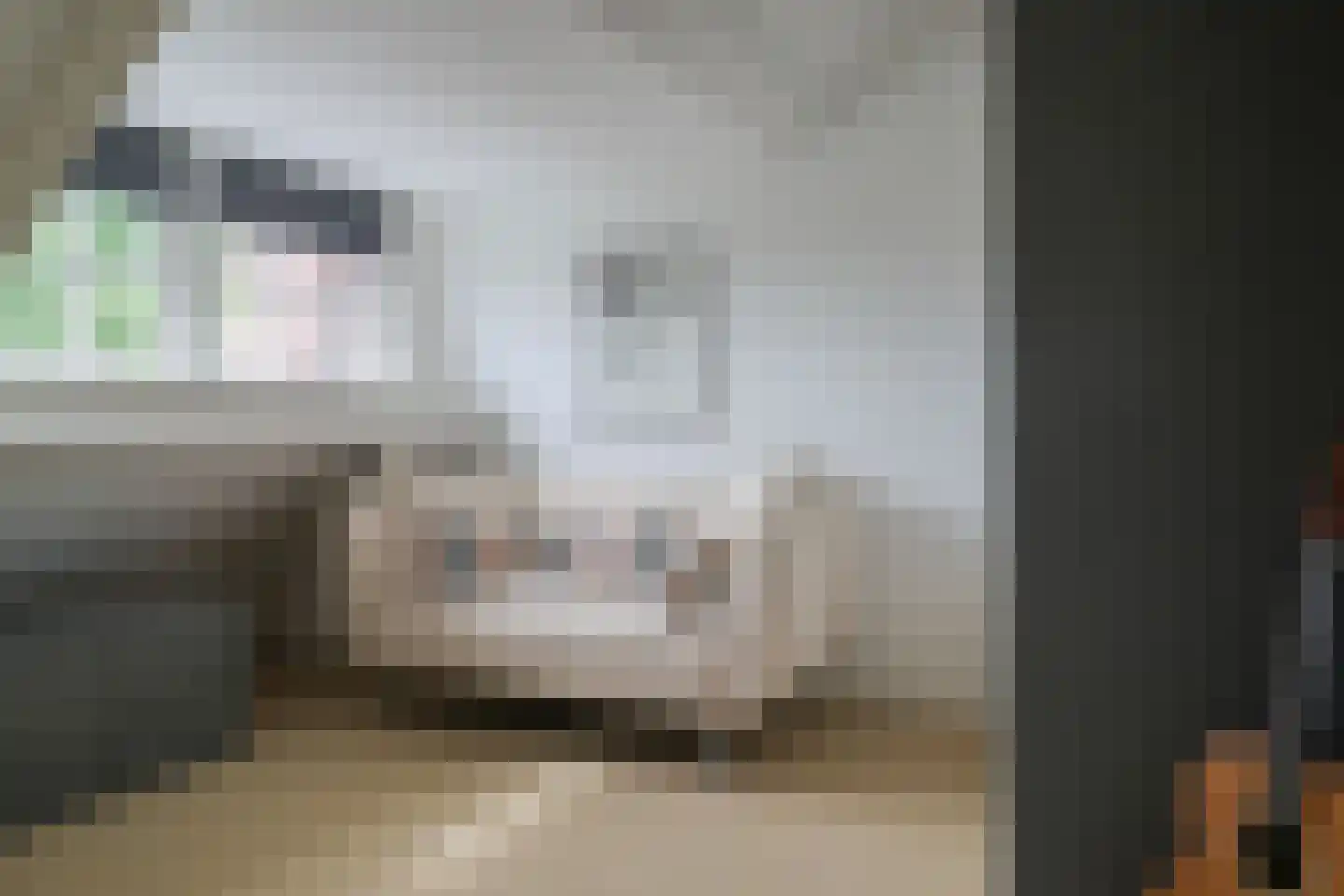 Jachthavenstraat 8 Sneek thumbnail 64
