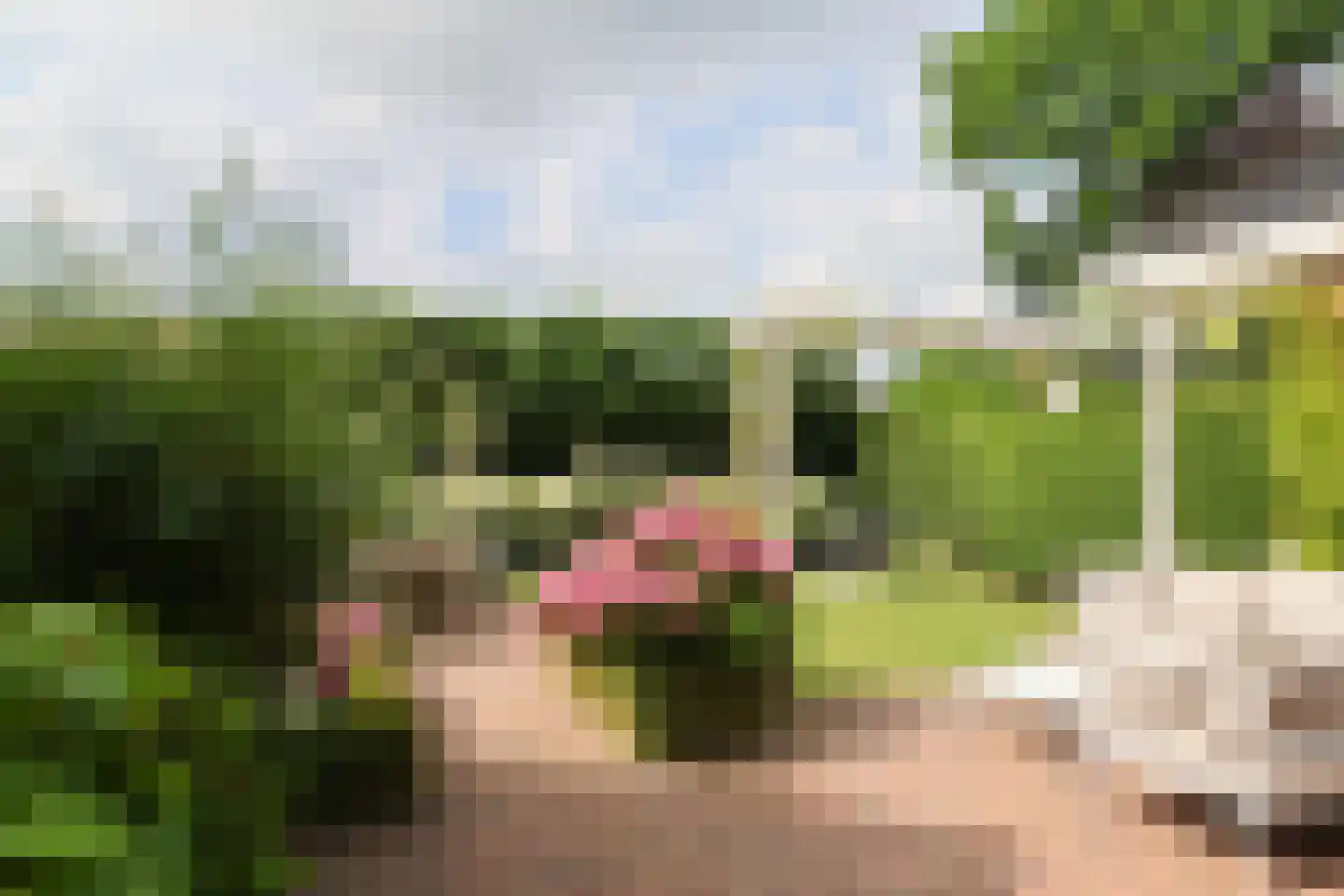 Jachthavenstraat 8 Sneek thumbnail 68