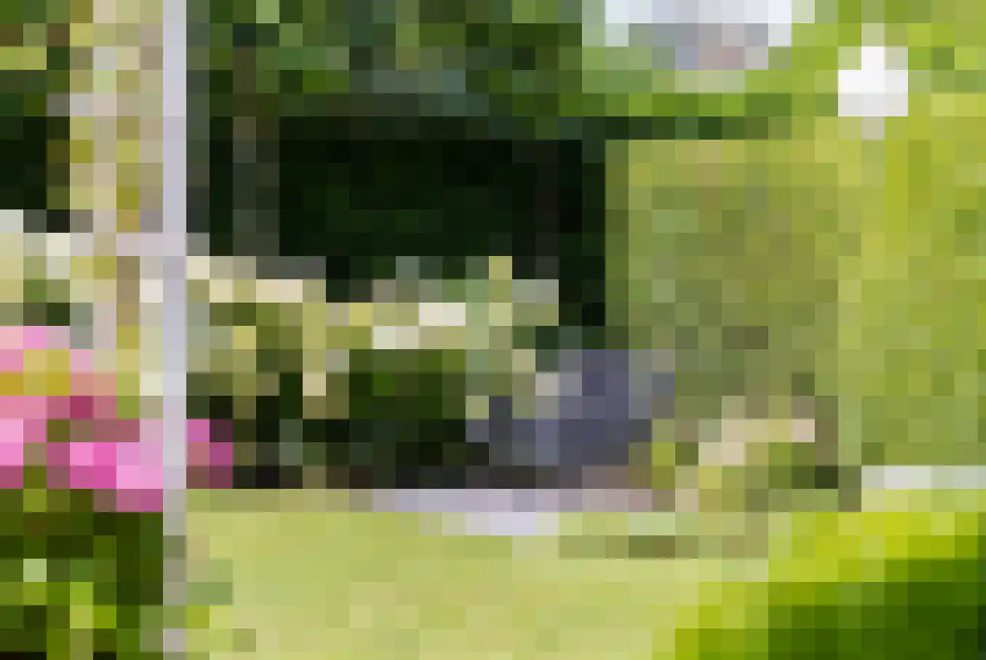 Jachthavenstraat 8 Sneek thumbnail 70