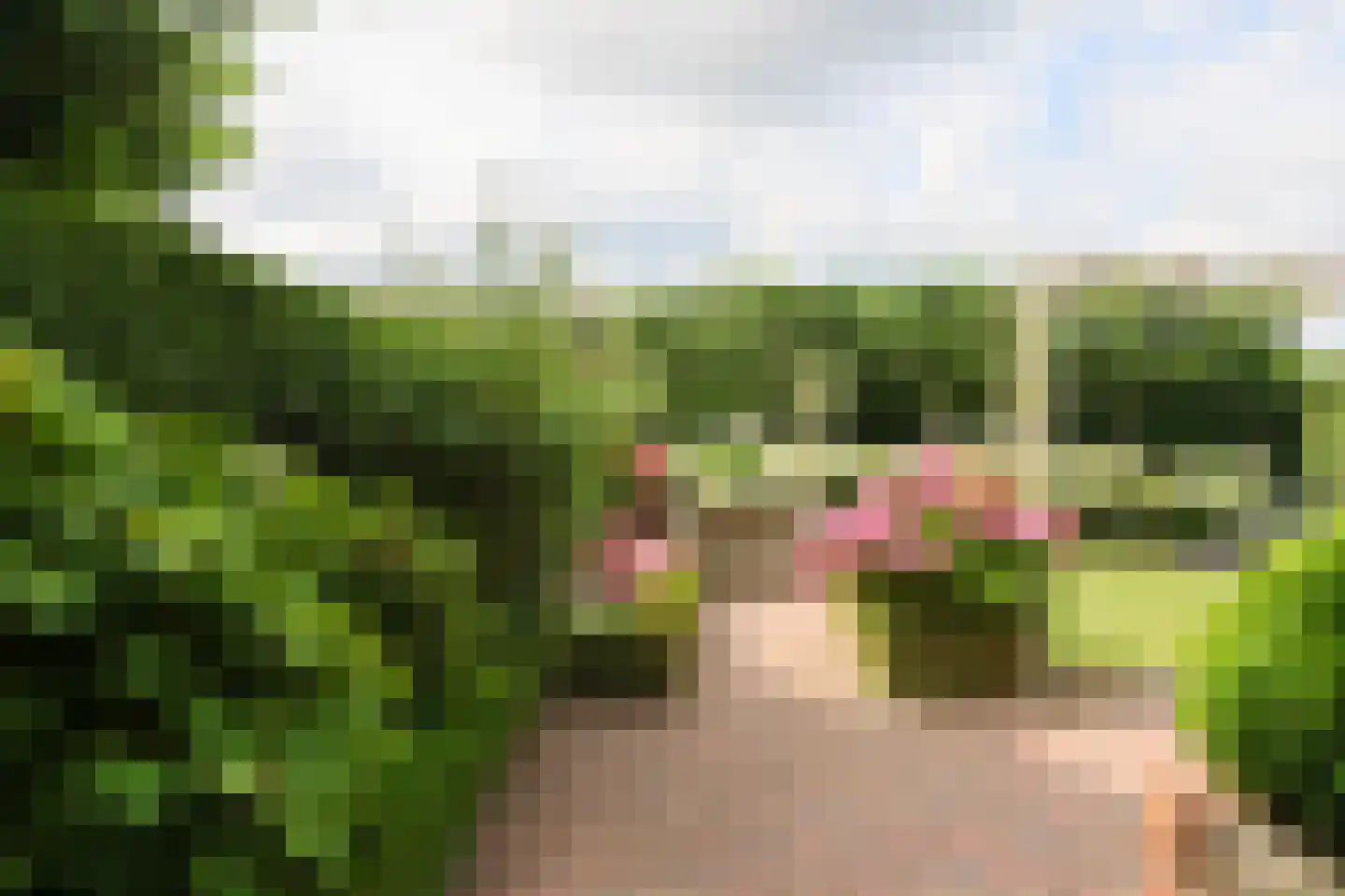 Jachthavenstraat 8 Sneek thumbnail 72