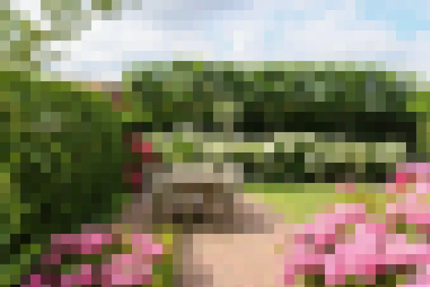 Jachthavenstraat 8 Sneek thumbnail 73