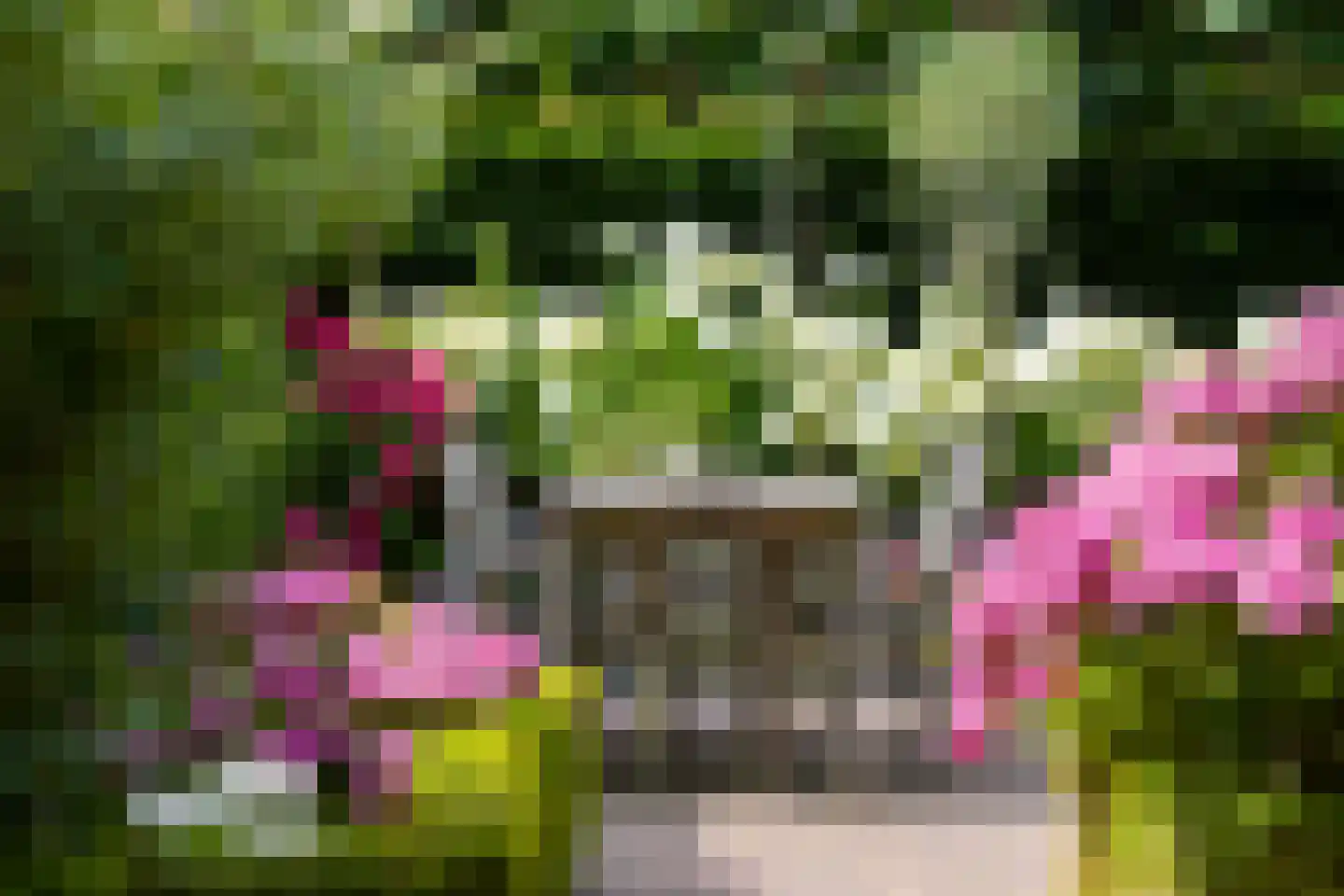 Jachthavenstraat 8 Sneek thumbnail 74