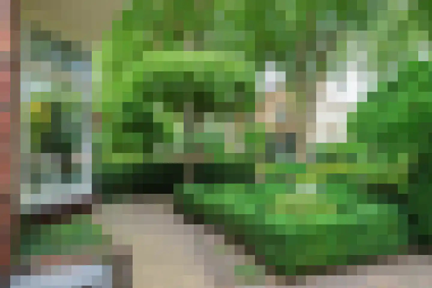 Jachthavenstraat 8 Sneek thumbnail 84