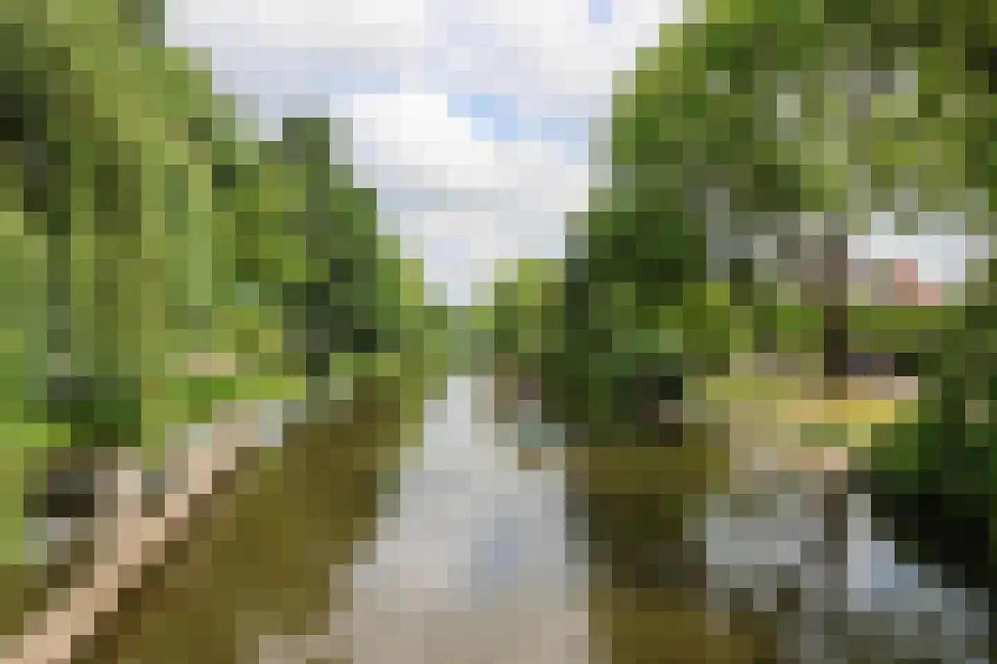 Jachthavenstraat 8 Sneek thumbnail 89