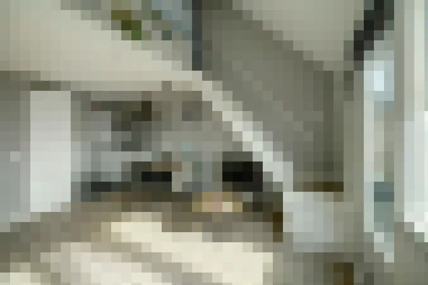 Jachthavenweg 36 Bruinisse thumbnail 10