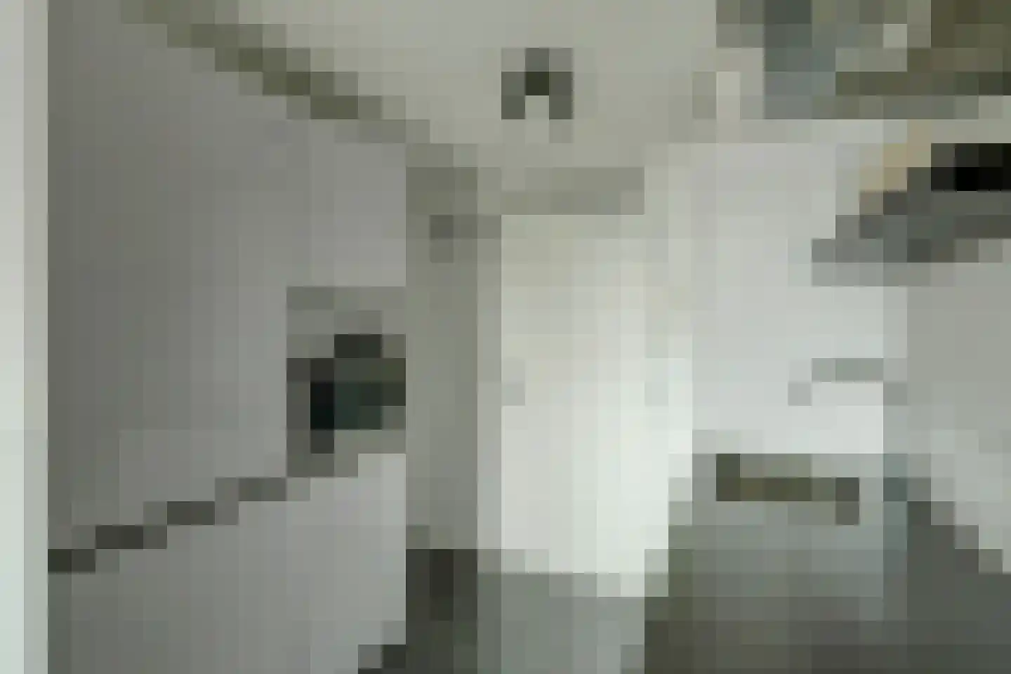 Jachthavenweg 36 Bruinisse thumbnail 13