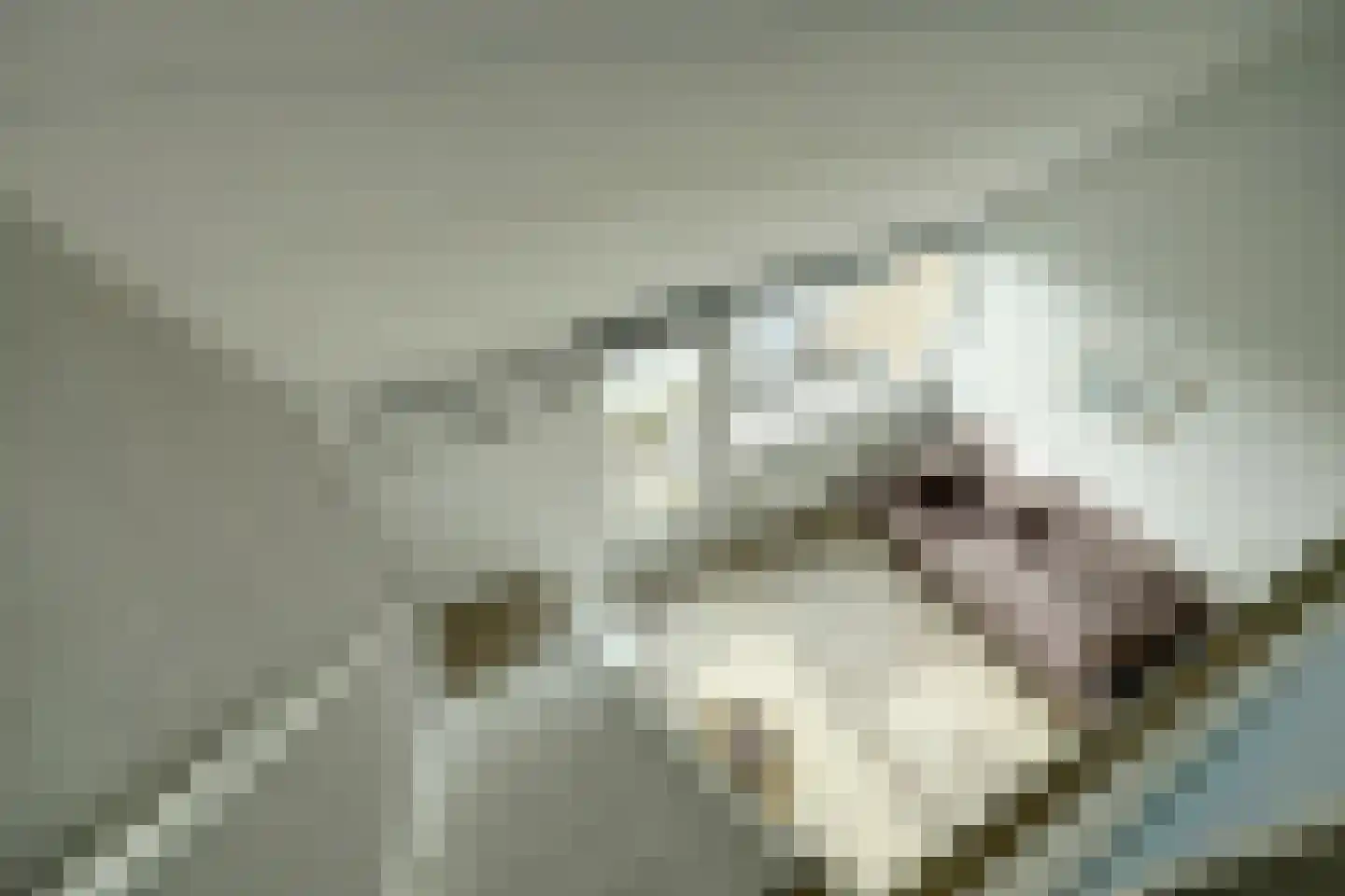 Jachthavenweg 36 Bruinisse thumbnail 18